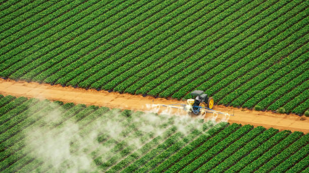 Best Mosquito Control Services  in Barrington Hls, IL
