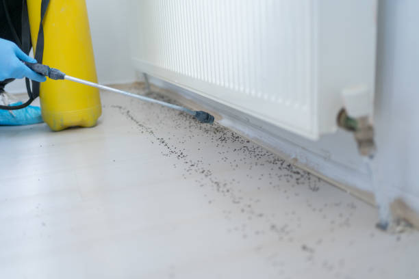 Reliable Barrington Hills, IL Pest Control Solutions